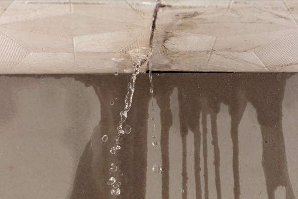Professional Sewage Cleanup technician working in Omar, WV